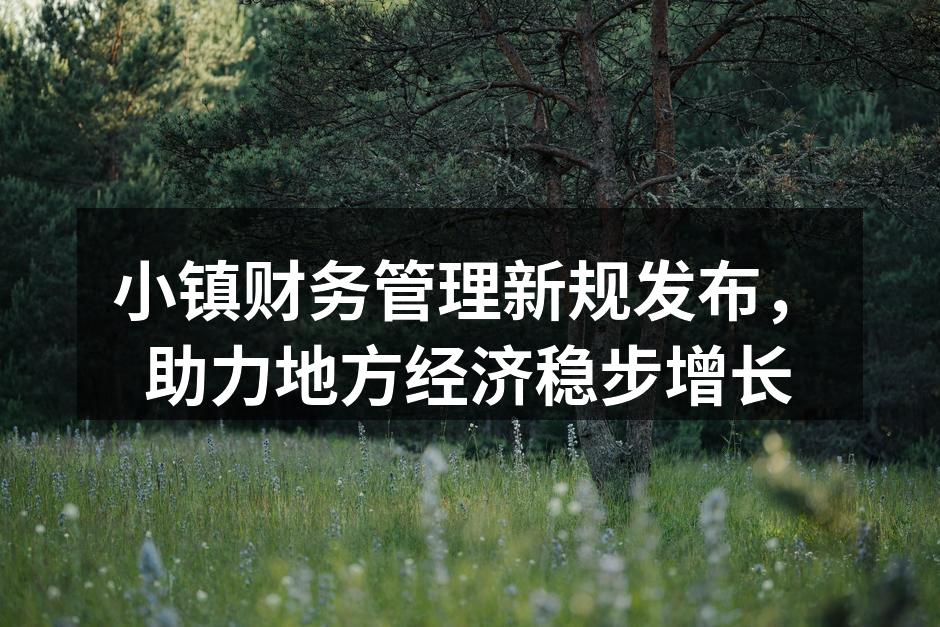 小镇财务管理新规发布，助力地方经济稳步增