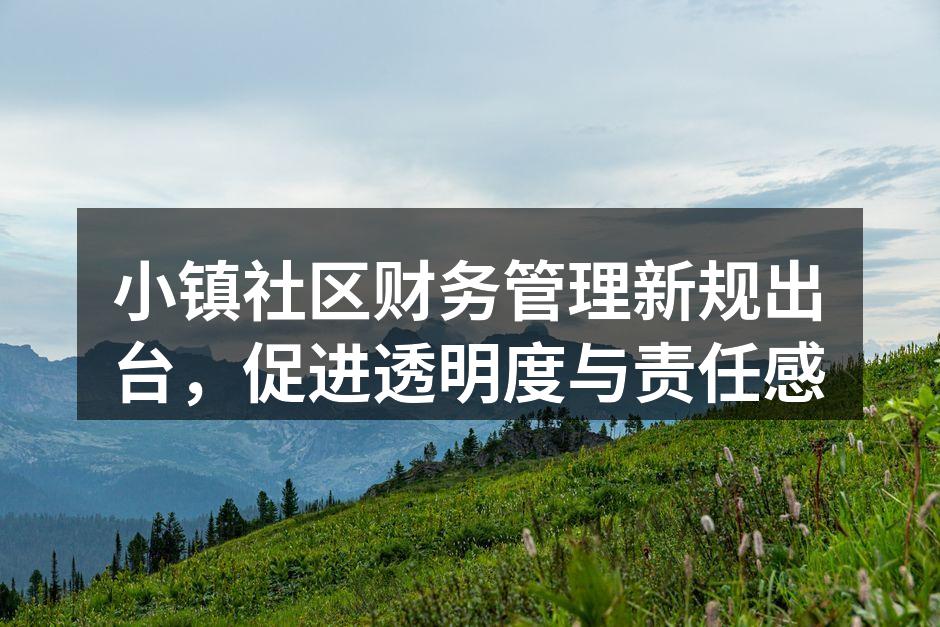 小镇社区财务管理新规出台，促进透明度与责