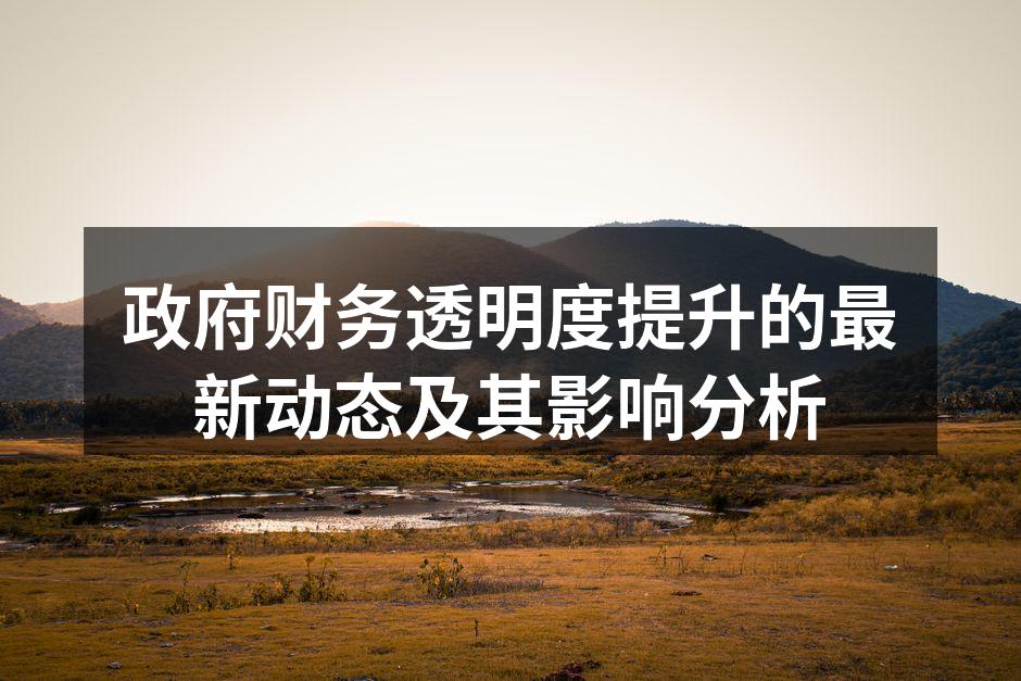 政府财务透明度提升的最新动态及其影响分析