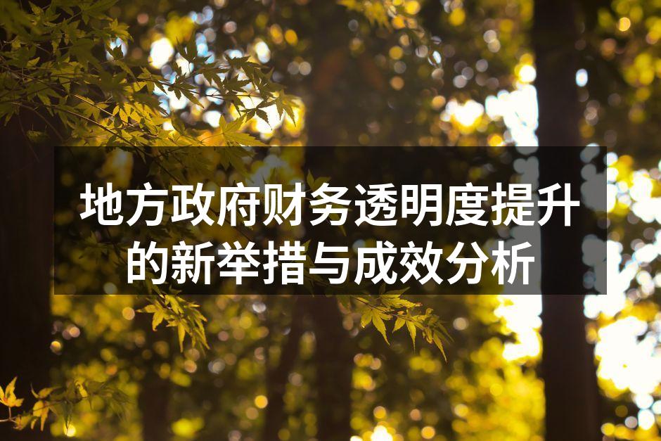 地方政府财务透明度提升的新举措与成效分析