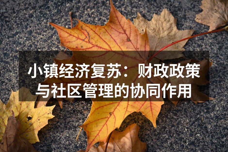 小镇经济复苏：财政政策与社区管理的协同作